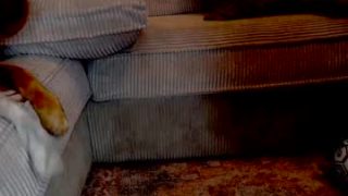 X_lily_x 
 Adult webcam model x_lily_x at
 Chaturbate