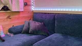 Backitupwrennd 
 Adult webcam host backitupwrennd at
 Camsoda