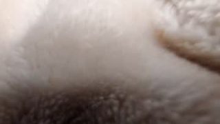 Laurenxcros 
 Adult webcam model laurenxcros at
 Chaturbate