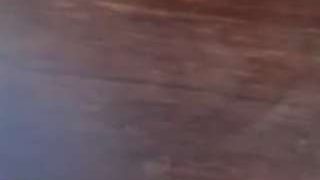 Nerdgirl314 
 Live nude cam model nerdgirl314 on Camsoda