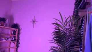 Vixenp 
 vixenp — Chaturbate