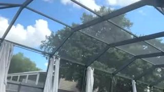 Dazeydo 
 Live nude broadcaster dazeydo on Chaturbate