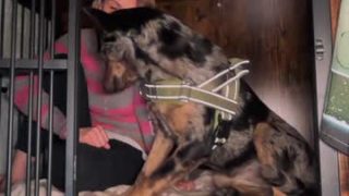 Kaileeshy 
 kaileeshy — Chaturbate