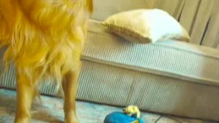 X_lily_x 
 x_lily_x — Chaturbate