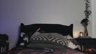 Ivey_strigoi 
 ivey_strigoi — Chaturbate
