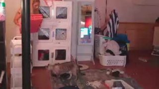 Goldengoddessxxx 
 Live nude broadcaster goldengoddessxxx on Chaturbate